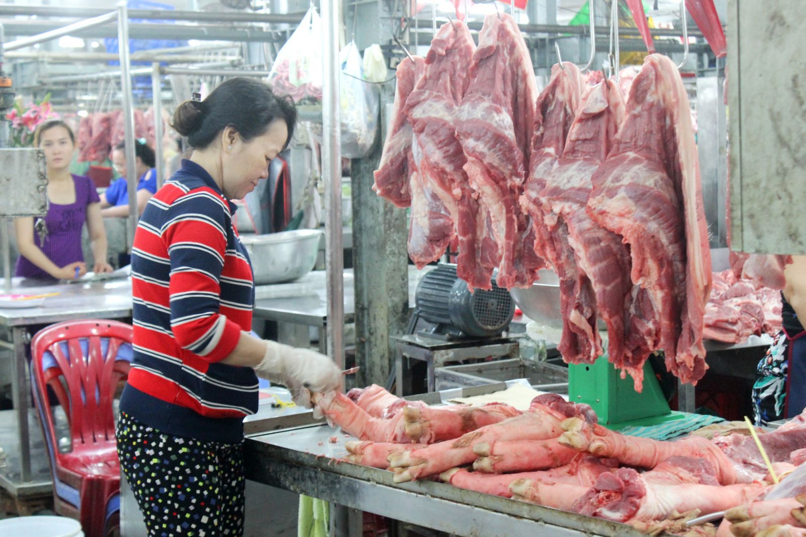 Giá thịt lợn giảm sâu trong nhiều tháng